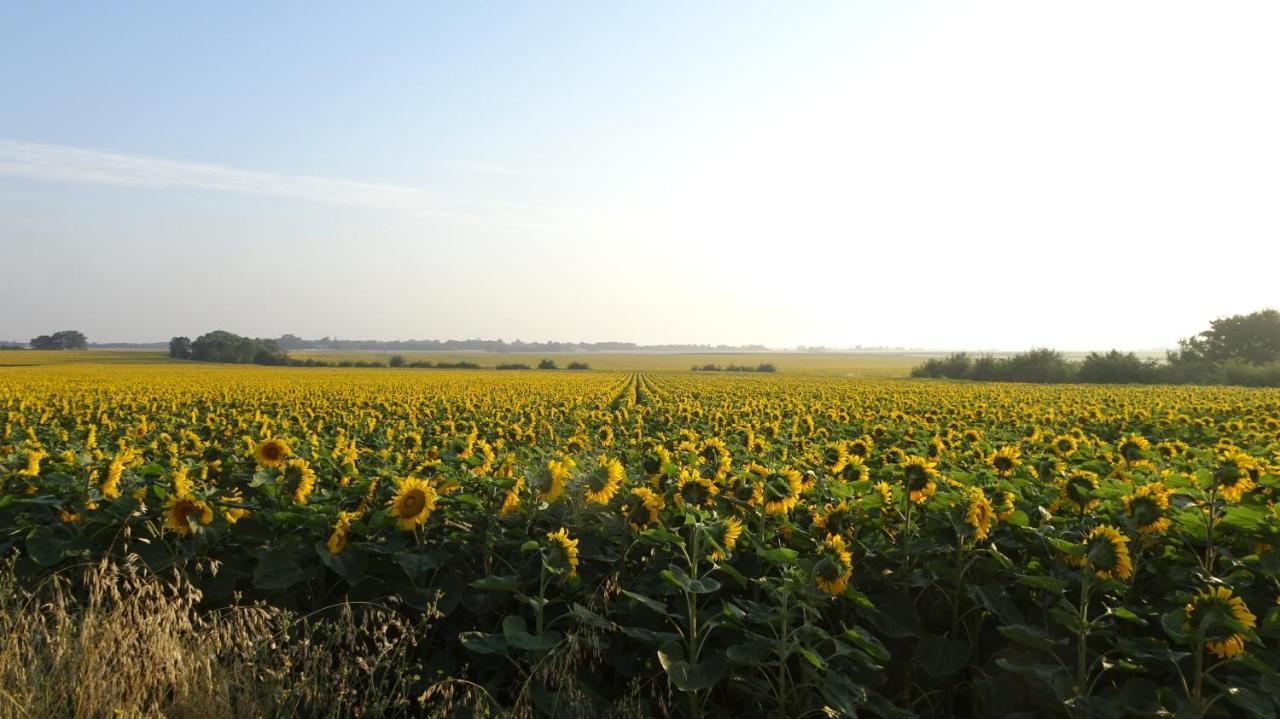 Campagne Ocean Bed and Breakfast Montroy Buitenkant foto